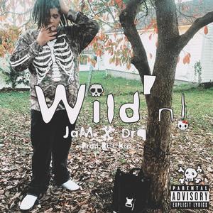 Wild'n! (feat. drq)