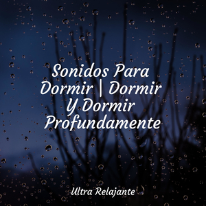 Tú Eres La Razón