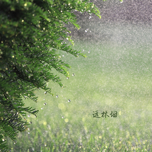 洞庭赊月色 (琵琶)