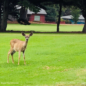 For Sister Kathleen Horgan