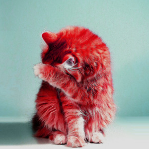 কোরআন হাদিসের বাহিরে যত মাজার আছে সবগুলো ভেঙ্গে পরিয়ে দাও মামুনুল হক