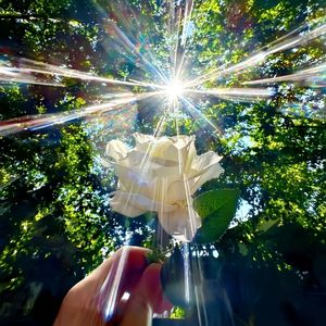 陪你到时光尽头