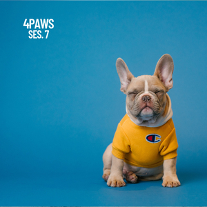 Background Cat Music