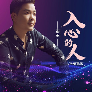 入心的人 (DJ可乐版)