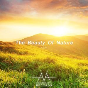The Beauty Of Nature