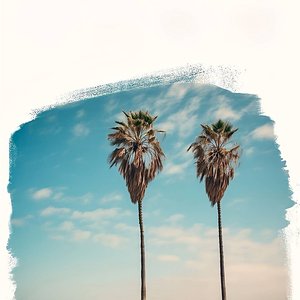 不要只在春天拥抱我