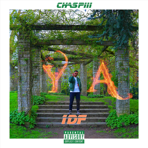1DF (Y.A.)