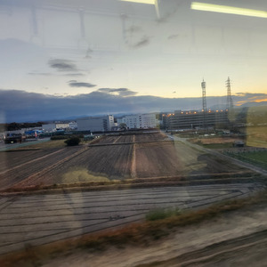 俺はトラヴィスになれない