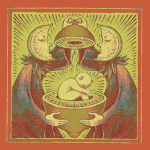 Leopardus Pardalis E Il Beso Nero