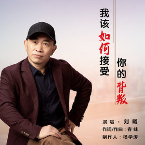 我该如何接受你的背叛 (男版)