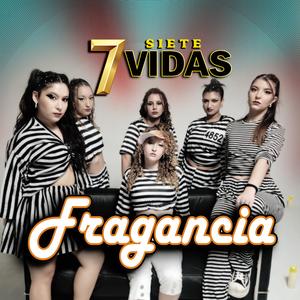 7 Vidas