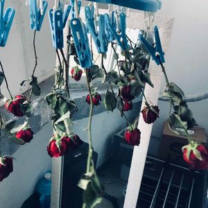 张万森 下雪了！（鱼果 remix）