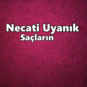 Saçların