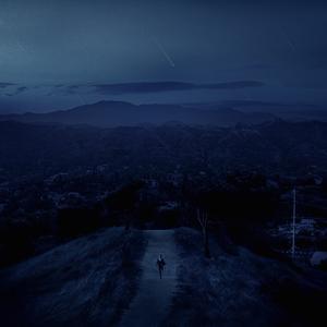 Let's Fall in Love for the Night (1964)