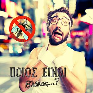 Ποιος είναι Βλάκας...?