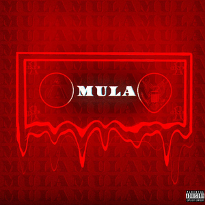 Mula