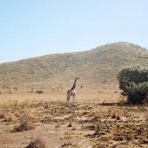연애는 어떻게 하는 거였더라