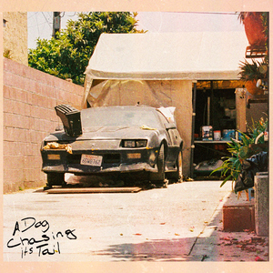 A Dog Chasing Its Tail