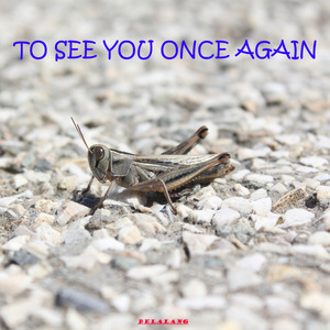 To See You Once Again
