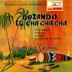 Cha Cha Cha Del Transito