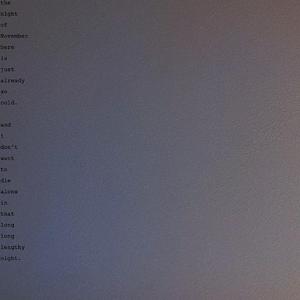 十一月的夜里已经很冷了我不想在这样冗长的夜里一个人孤单地死掉