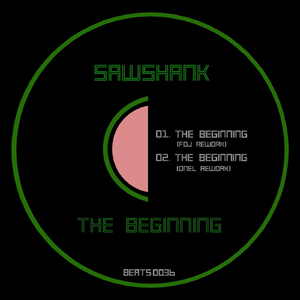 The Beginning (DneL Rework)