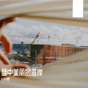 梦中美丽的海岸(纯人声)