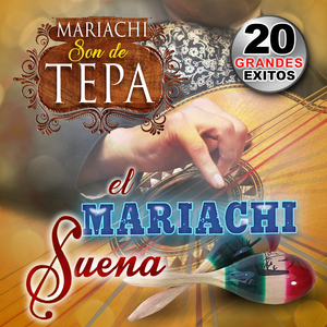 La Vida Es Un Carnaval