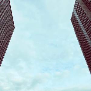 Water the flowers in the garden