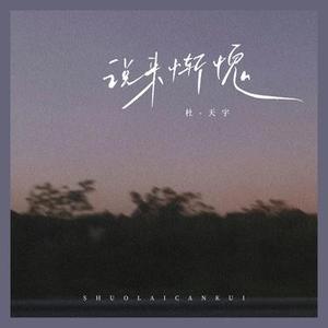 说来惭愧 (DJ版)