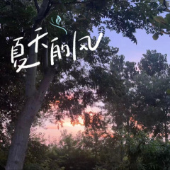 夏天的风