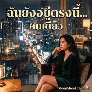 เพลง ฉันยังอยู่ตรงนี้คนเดียว