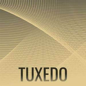 Shirtwaister Thunderstorm