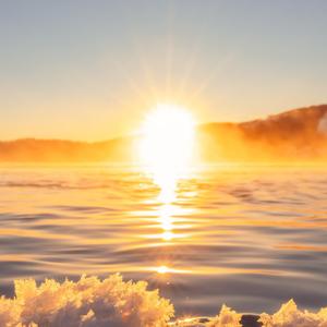 蝴蝶眨几次眼睛