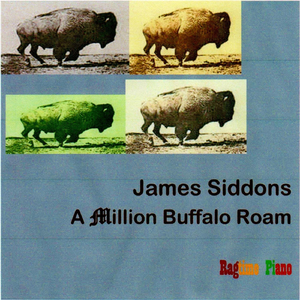 A Million Buffalo Roam
