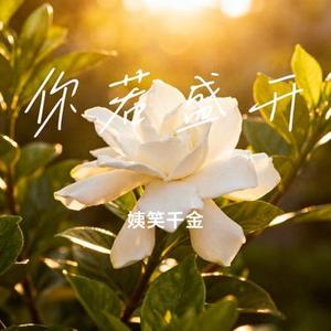 你若盛开 (姨笑千金 Remix)