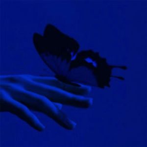 凟