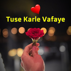 Tuse Karle Vafaye