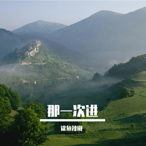 那一次进