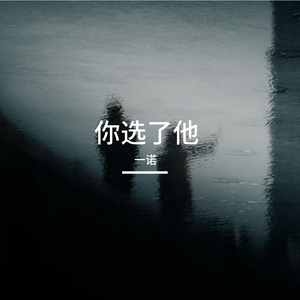 你选了他