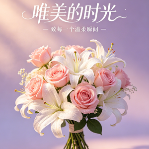 情感叙事类 (初升的太阳 抖音热播纯音乐)