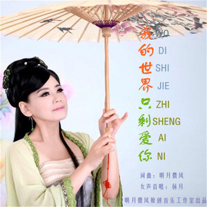 我的世界只剩爱你-杨月