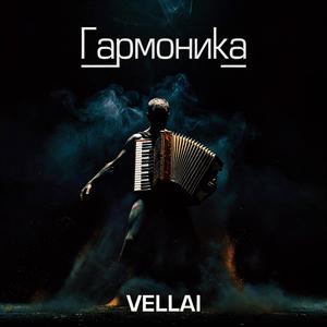Гармоника