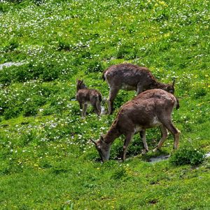 月川桥上晚起的日出