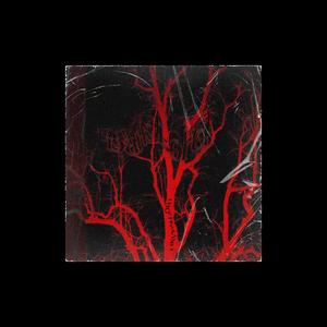 WOLF [prod by Heisenberg]