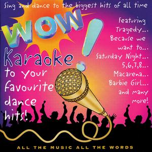 5,6,7,8 (Karaoke Version)