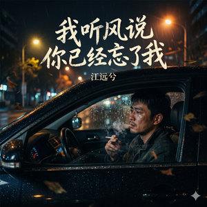我听风说你已经忘了我