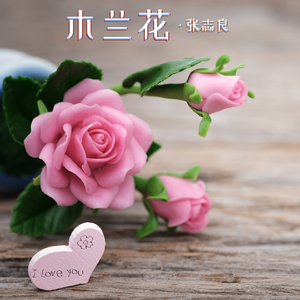 木兰花