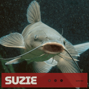 Suzie