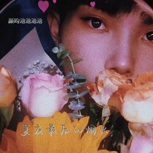 夏夜最后的烟火（当我抬起头你正看向我））